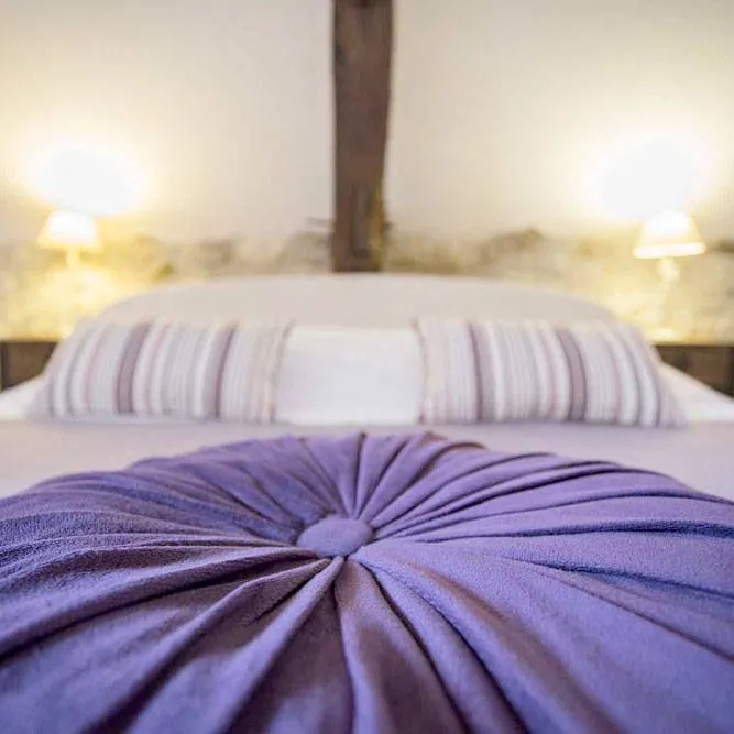Manoir de la Blonnerie - Chambre d'hôtes - Coussin décoration - Passe-Crassane - Miniature