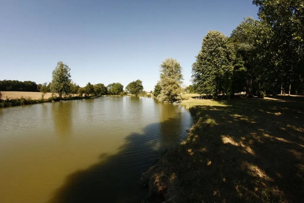 Etang de peche Velleches - 86
